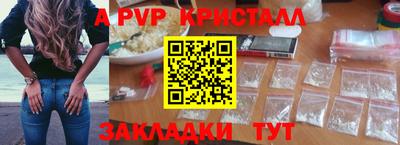 сатива Кингисепп