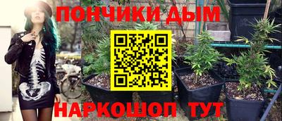 сатива Кингисепп