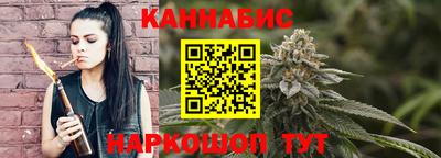 сатива Кингисепп