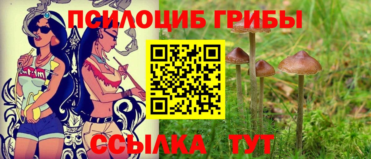 Галлюциногенные грибы ЛСД  Вход с VPN  Псилоцибиновые грибы MAGIC MUSHROOMS  Кохма 